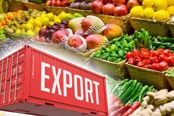 کاهش ۲ درصدی صادرات کشاورزی اروپا در پی تنشهای خلیج فارس