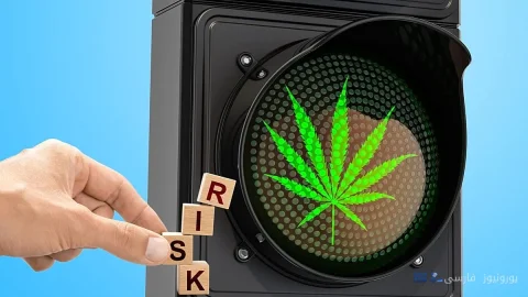پژوهش‌ تازه درباره ماری‌جوانا؛ آیا مصرف مقدار کم کانابیس بی‌خطر است؟