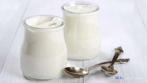 ماست یونانی؛ چرا متخصصان برای کاهش وزن و کاهش خطر بیماری‌های قلبی آن را توصیه می‌کنند؟